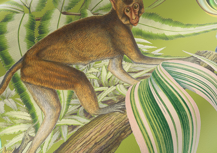 Barbados, Avocado - Roman Blind - Image 4